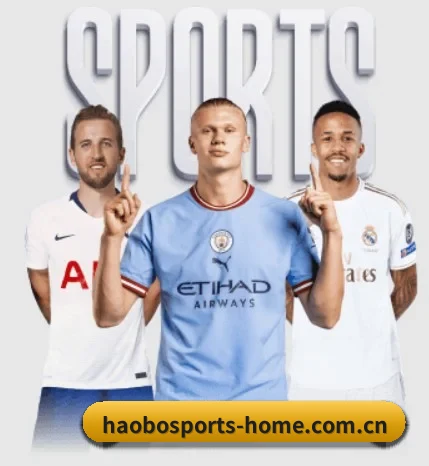 五大服务分区,信息按项目分类 - 多运动项目内容板块(HAOBOSPORTS)