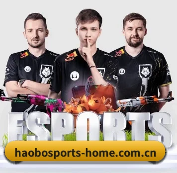 国际化进程 - HAOBOSPORTS