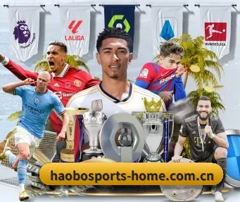 好博体育网站 APP | HAOBOSPORTS